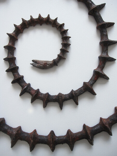 Spirale, 118 x 56 x 4 cm. détail