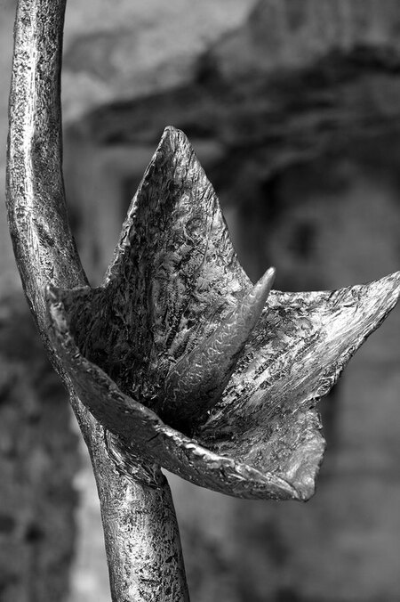 "Passion, d&eacute;tail