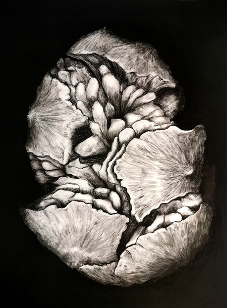 "Abondance", 2019. encre, crayon et fusain sur papier maroufl&eacute;. 58x68cm. 70X100cm encadr&eacute;.