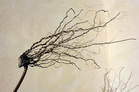 "D&eacute;esse du Vent" ,d&eacute;tail
